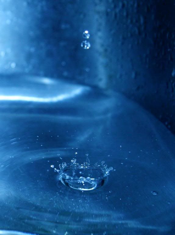 IMAGE: http://i215.photobucket.com/albums/cc115/pcychobillyhawaii/IMG_0554.jpg