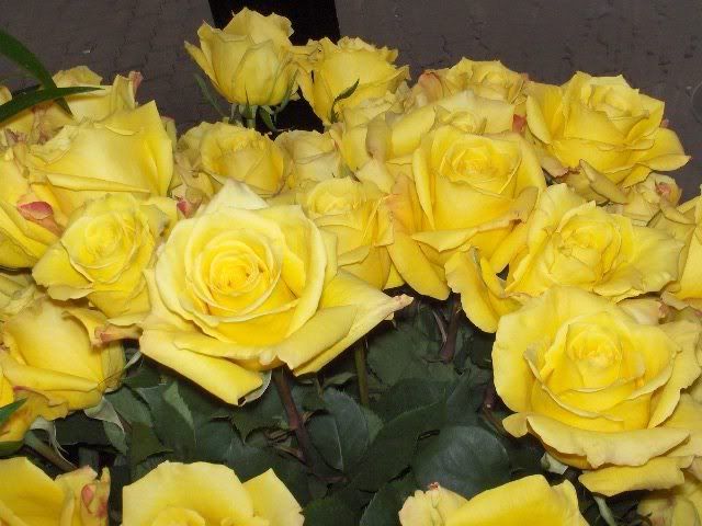 HPIM3433.jpg Yellow Rose Bouquet image by Anikonut