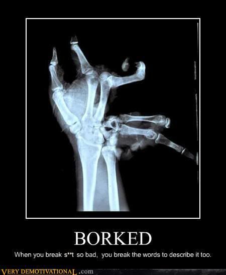 [Image: demotivational-posters-borked.jpg]