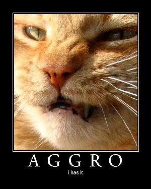 aggro-i-has-it-1.jpg