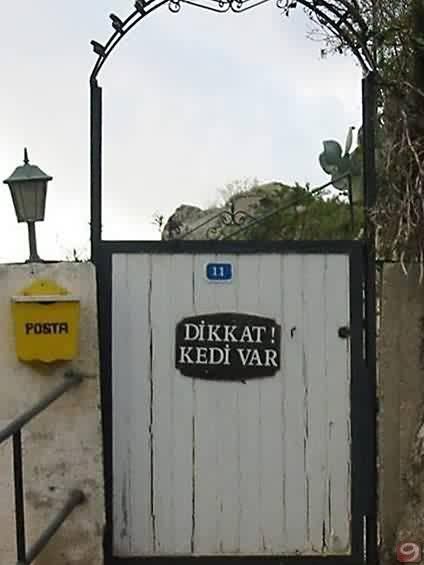 Dikkat-kedi-var.jpg