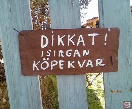 dikkat-isirgan-kopek.jpg