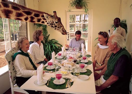 weirdesthotels_giraffedinner.jpg