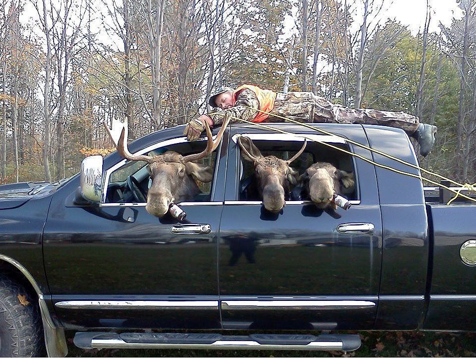 Moose-Hunting.jpg