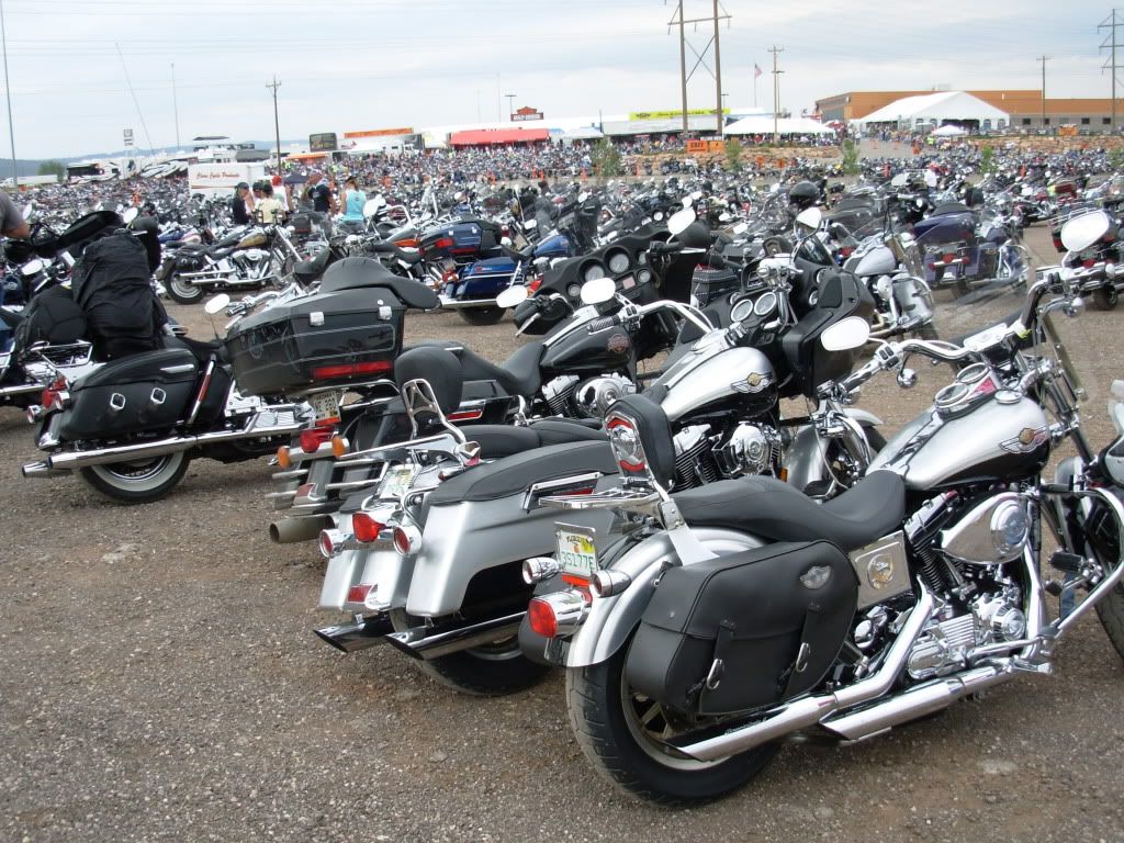 DSCN0376.jpg