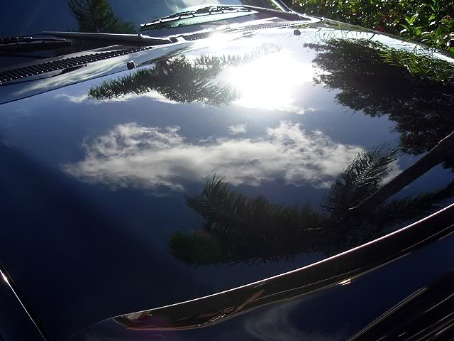 TruckHoodSunlight.jpg