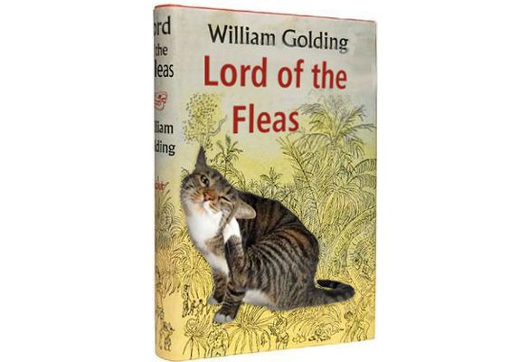 lord-of-the-fleas_zpsc0e8bc3f.jpg