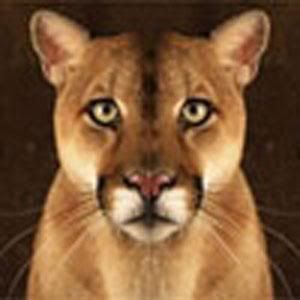 Cougar.jpg
