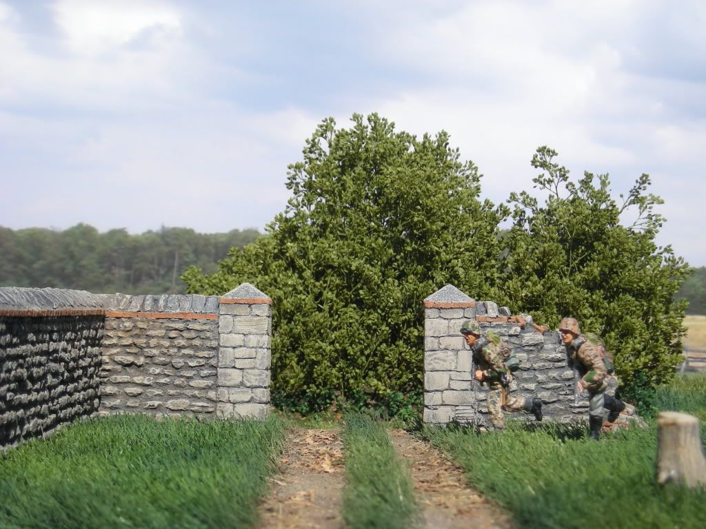 DSCN5685.jpg