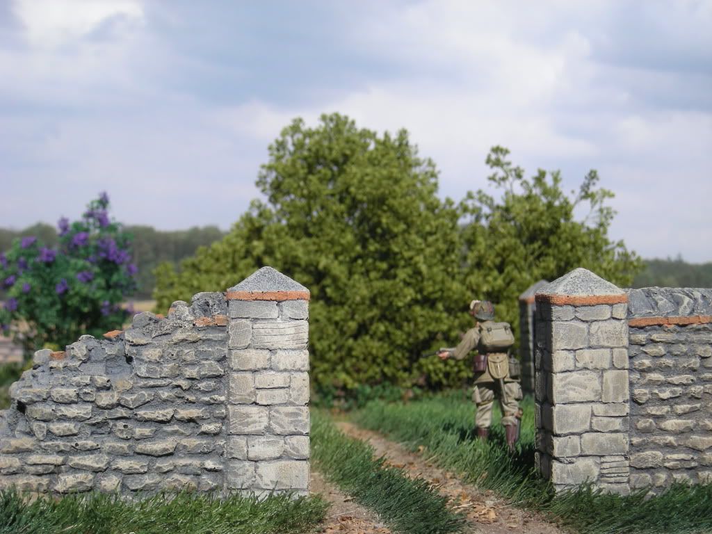 DSCN5688.jpg