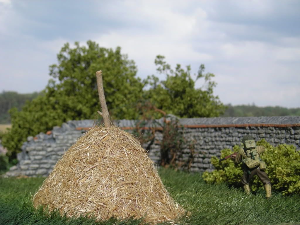 DSCN5694.jpg