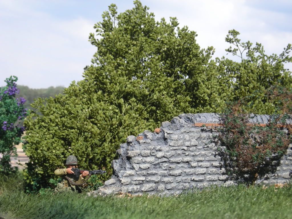 DSCN5702.jpg