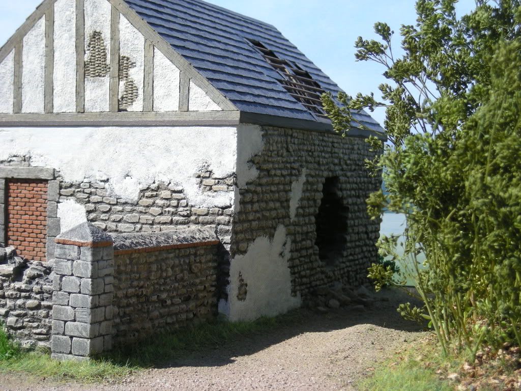DSCN5788.jpg