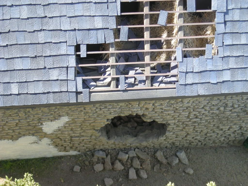 DSCN5794.jpg