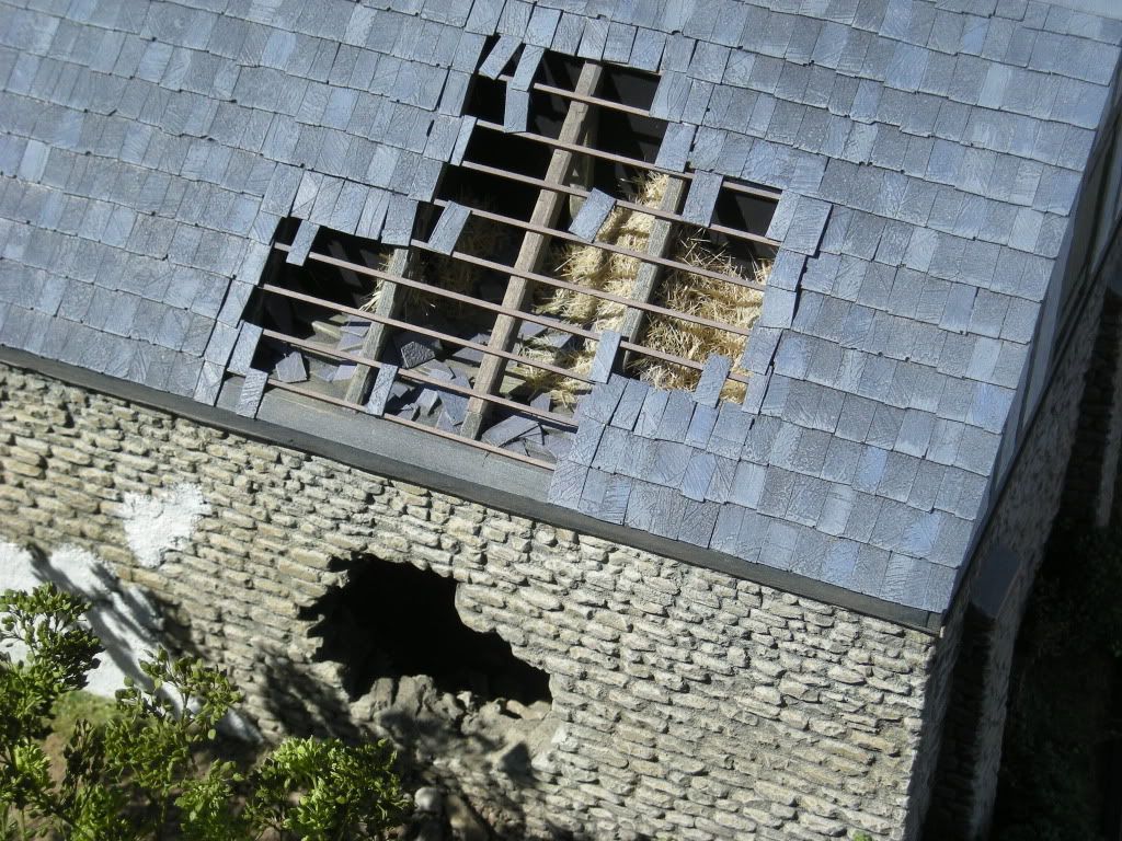 DSCN5810.jpg