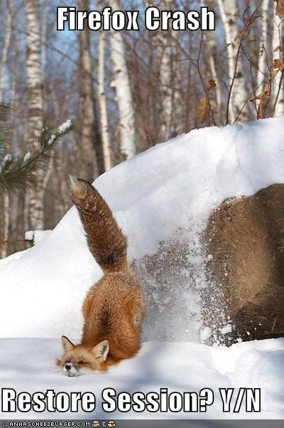 funny-pictures-firefox-crash-snow_zps7e9