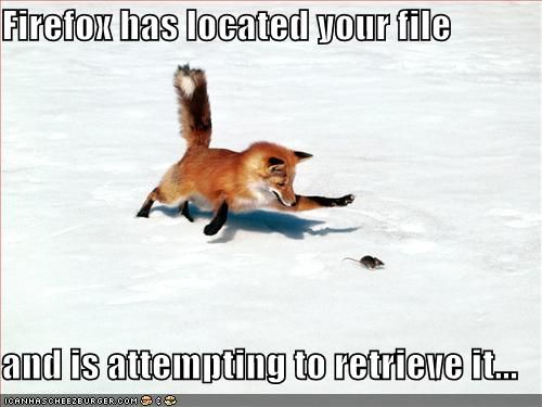 funny-pictures-firefox-tries-to-retrieve
