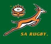 SPRINGBOKS Pictures, Images and Photos