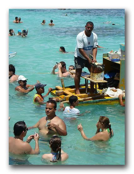 Corales brasileños: manual de uso para turistas conscientes Corales brasileños: manual de uso para turistas conscientes