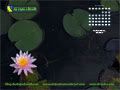 May 2009 desktop calendar May 2009 desktop calendar