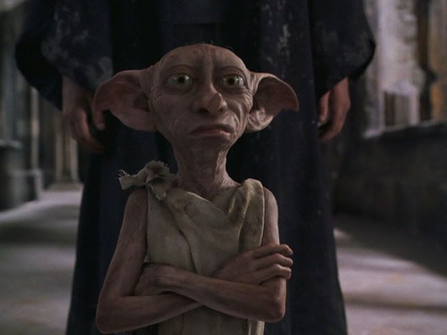 0640.jpg Dobby picture by cgrimm1959