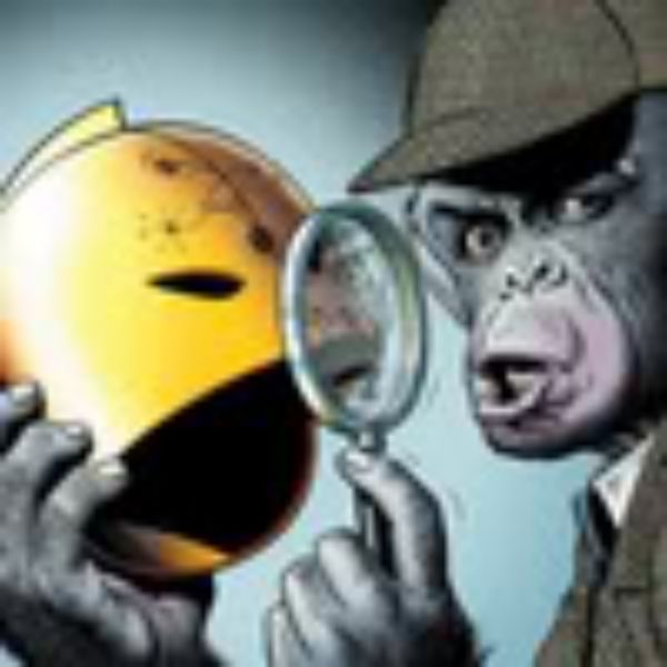 User Image