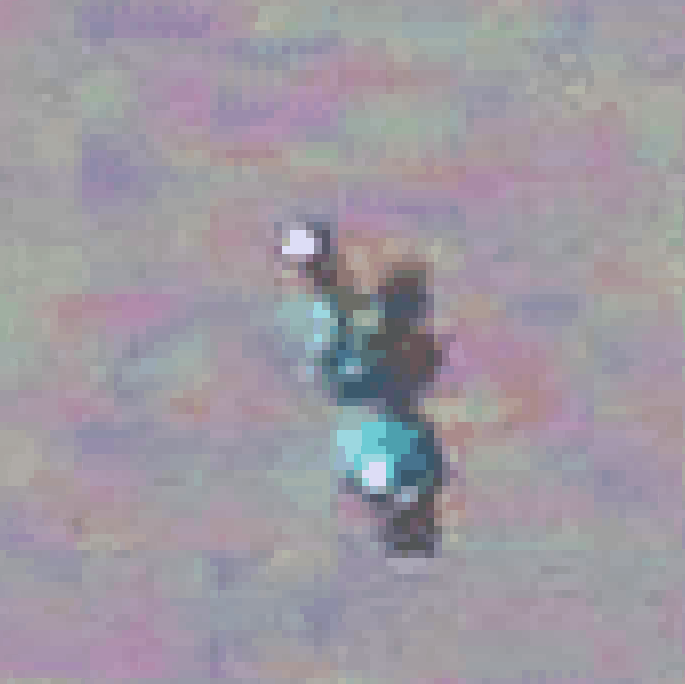 User Image