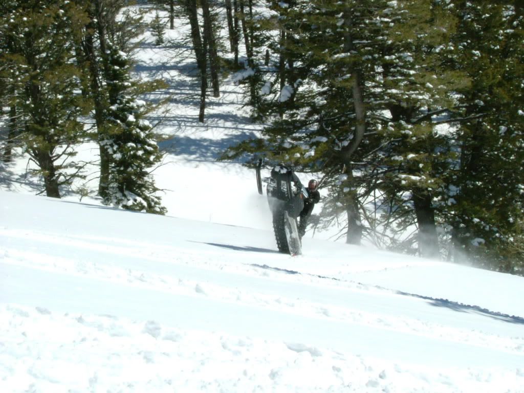 MtJefferson4-5-09027.jpg