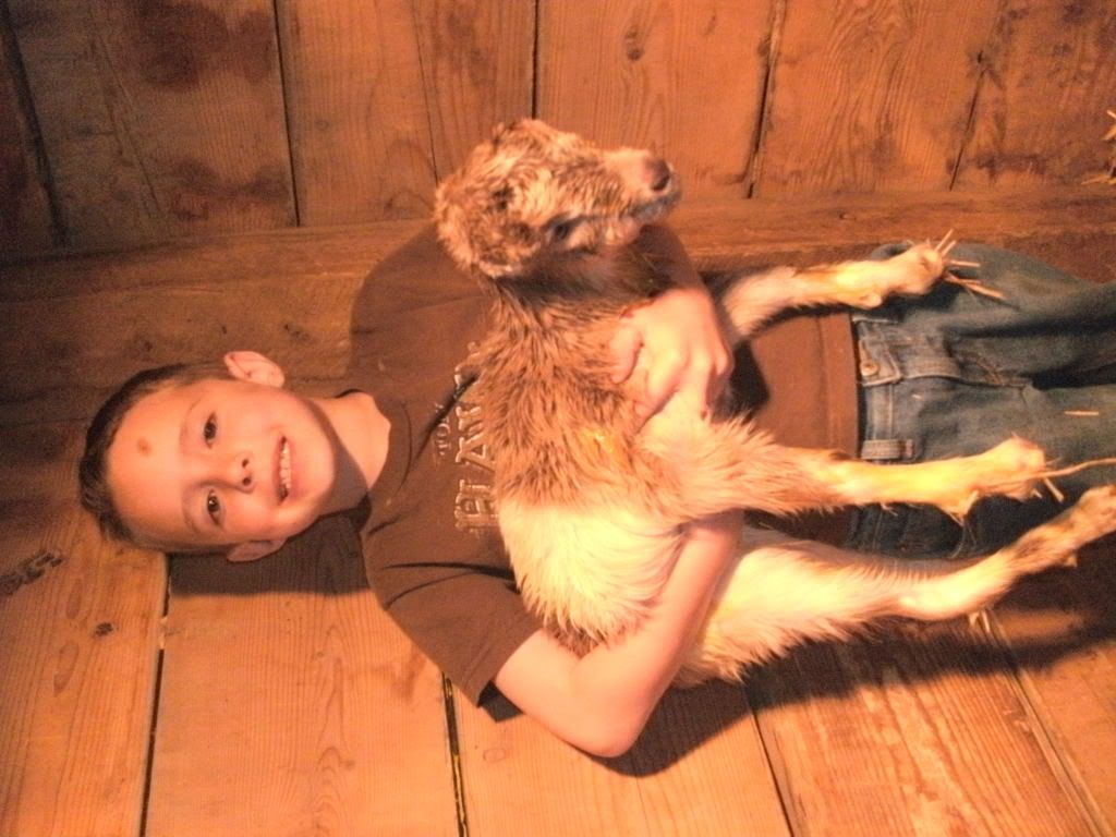 Long Overdo pictures and pics of weeken fun-pic heavy - Goats