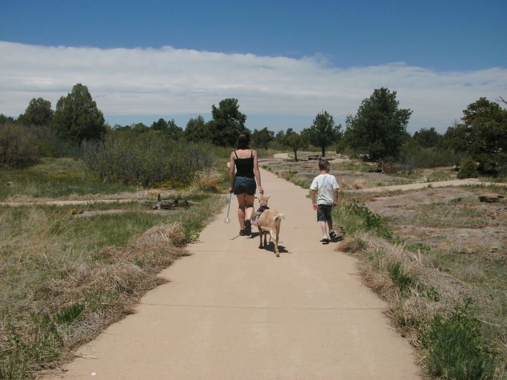 Long Overdo pictures and pics of weeken fun-pic heavy - Goats