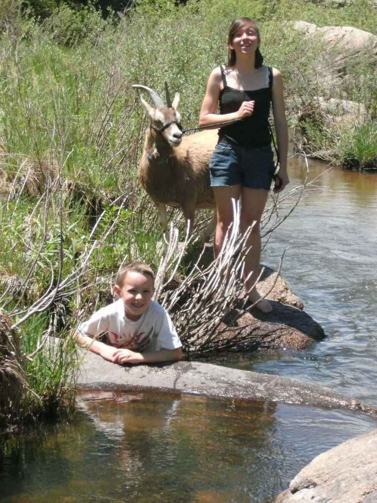 Long Overdo pictures and pics of weeken fun-pic heavy - Goats