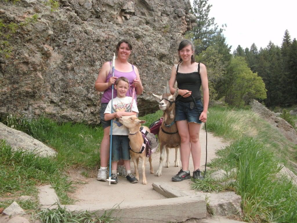 Long Overdo pictures and pics of weeken fun-pic heavy - Goats