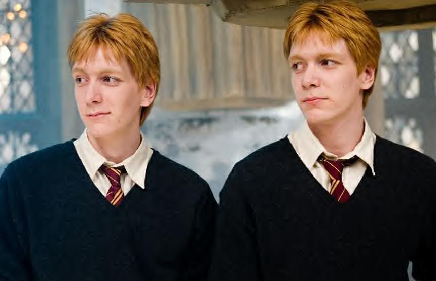 Weasley_Agree.jpg Weasley Twins image by AGreenSandStorm