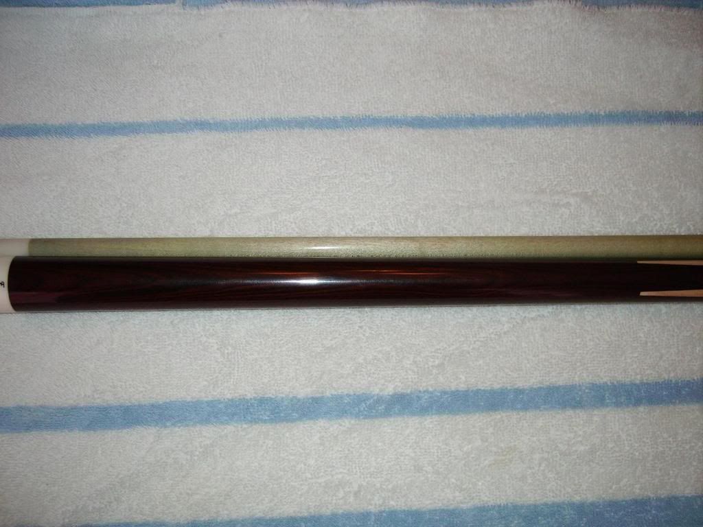 IMGP0388.jpg