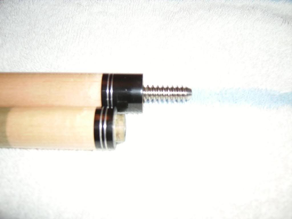 IMGP0404.jpg