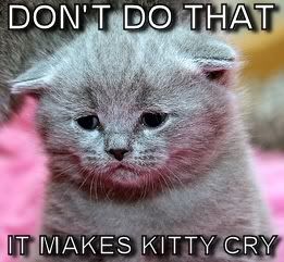 kitty-cry.jpg