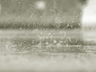 rain Pictures, Images and Photos