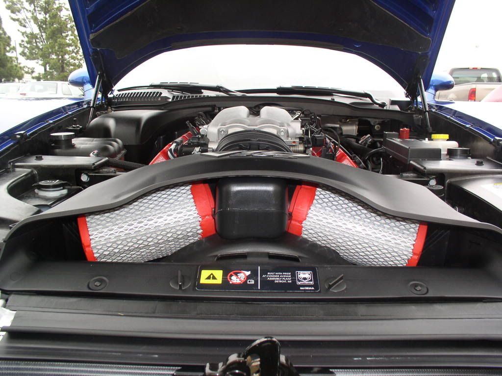 IPB Image