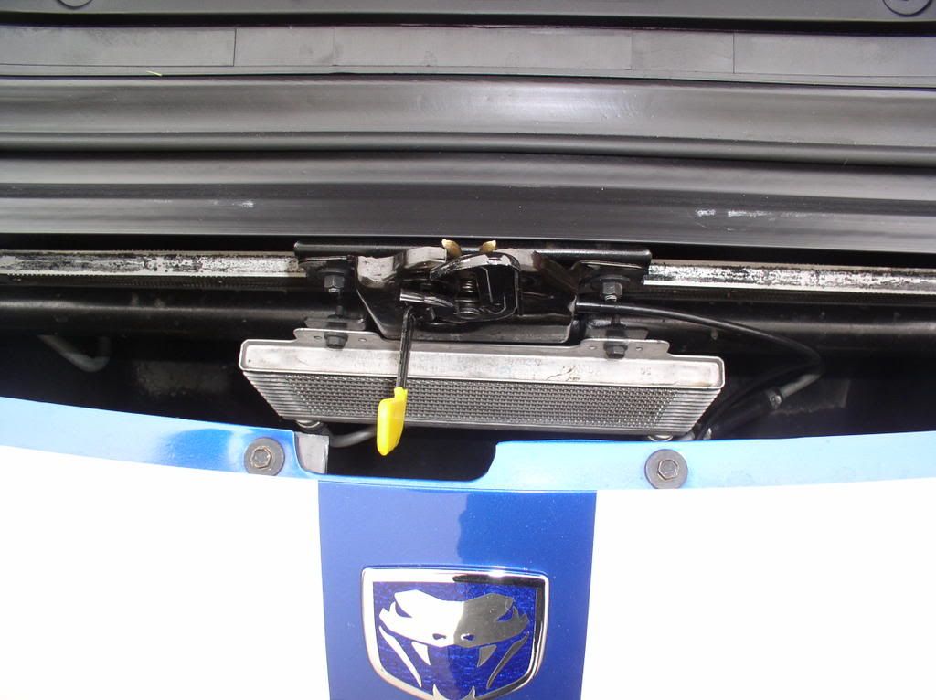 IPB Image