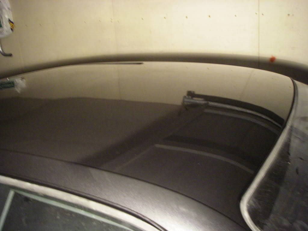IMGP0317.jpg