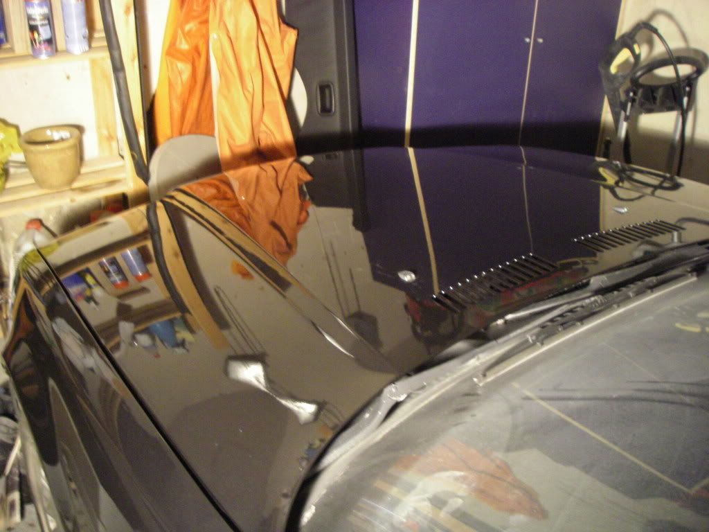 IMGP0318.jpg
