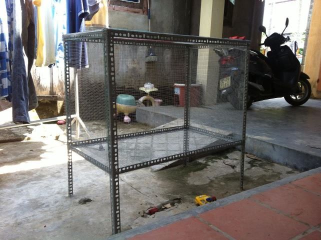 Hình ảnh