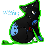 Wildfang-1-3.png