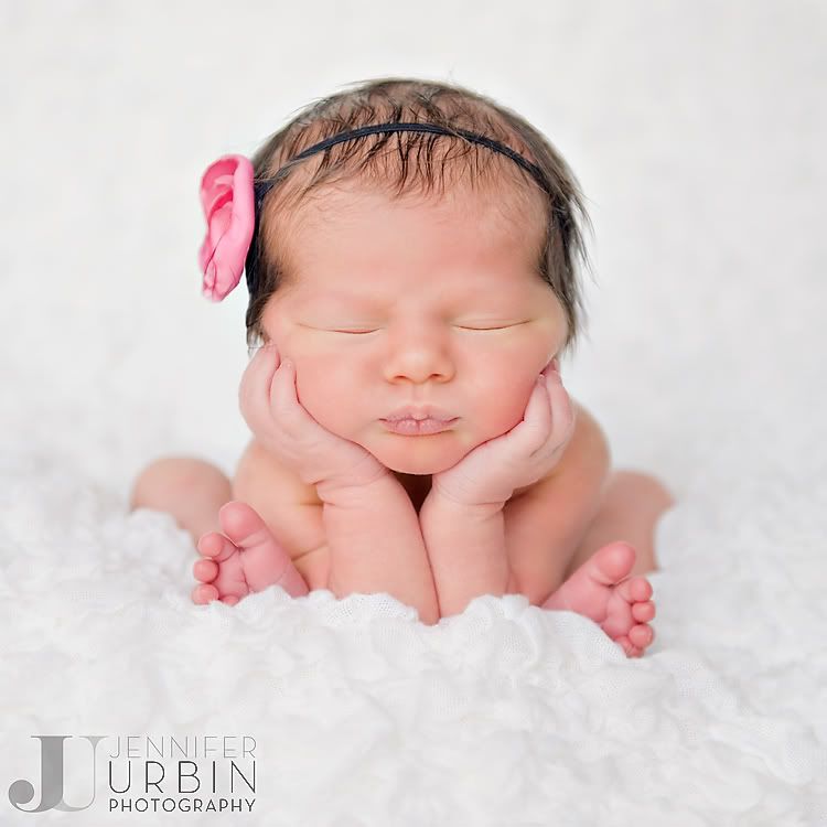 Metro Detroit Newborn Photographer