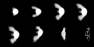 [Image: sha_ball.png]