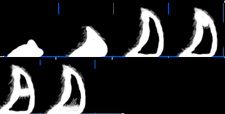 [Image: sha_col.png]