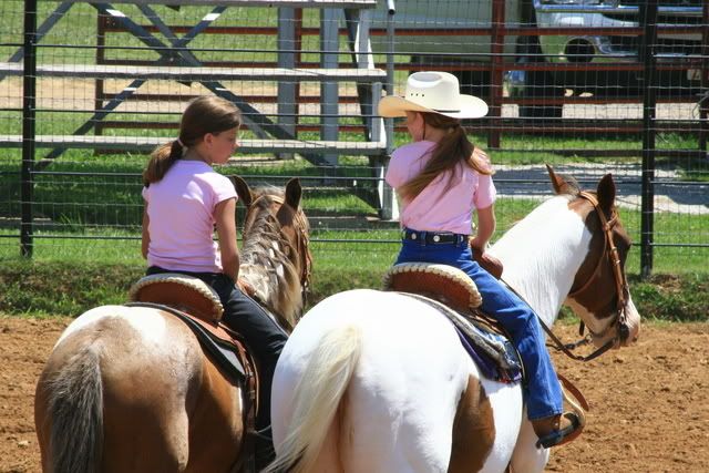 Horse Show Photo