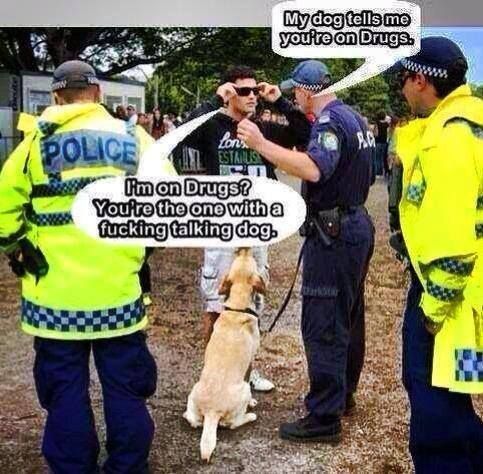 policedog.jpg