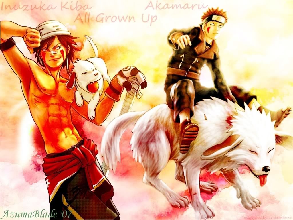 http://i215.photobucket.com/albums/cc260/lynn-kyzar/kiba.jpg