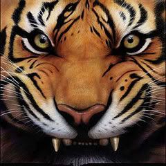 Clemson Tiger Image Clemson Tiger Image
